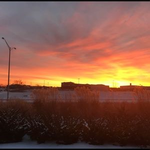 Meet your Posher, Zion